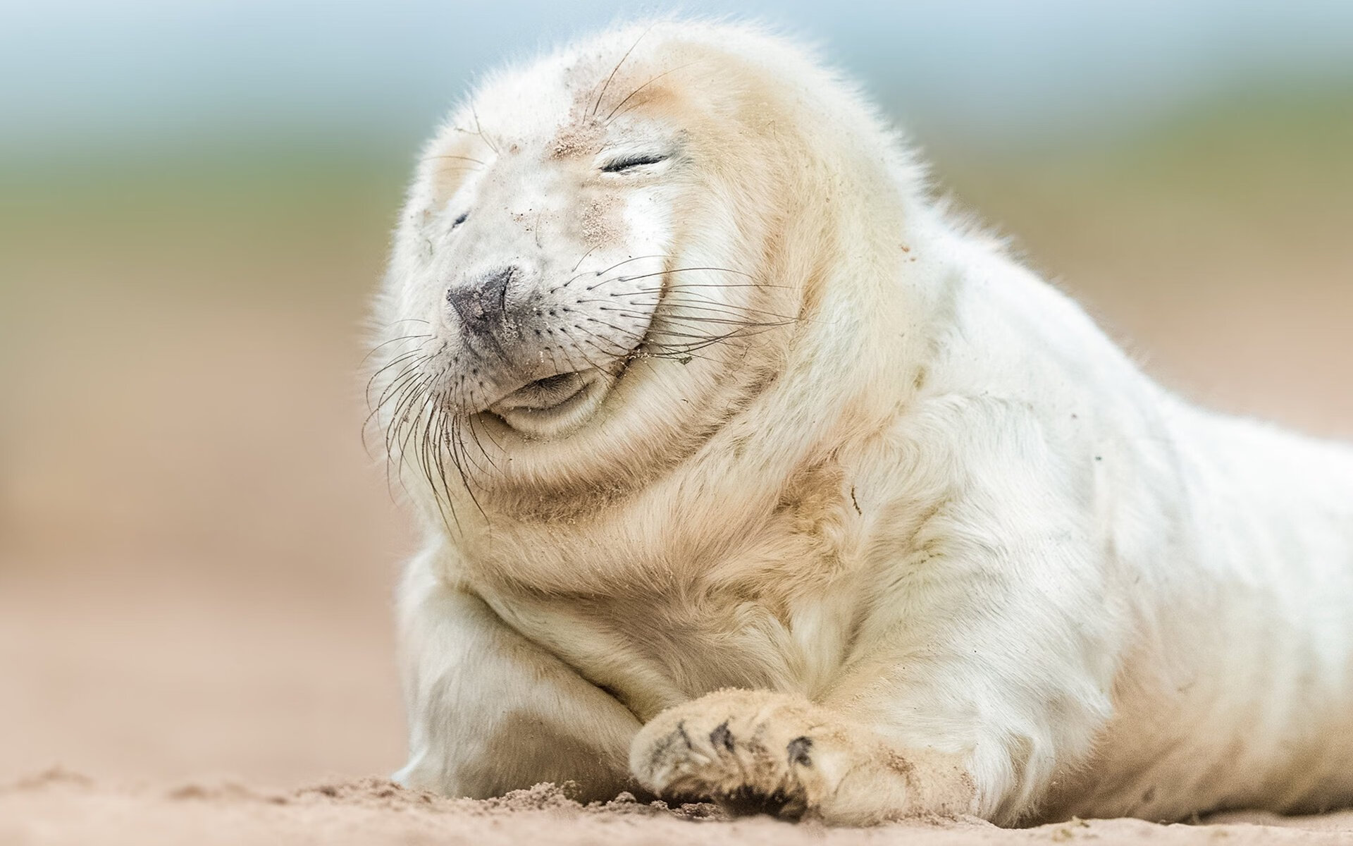 圣城铁蹄下的独舞，当马刺体系碾压爵士，米切尔的光芒如何刺破苍穹？