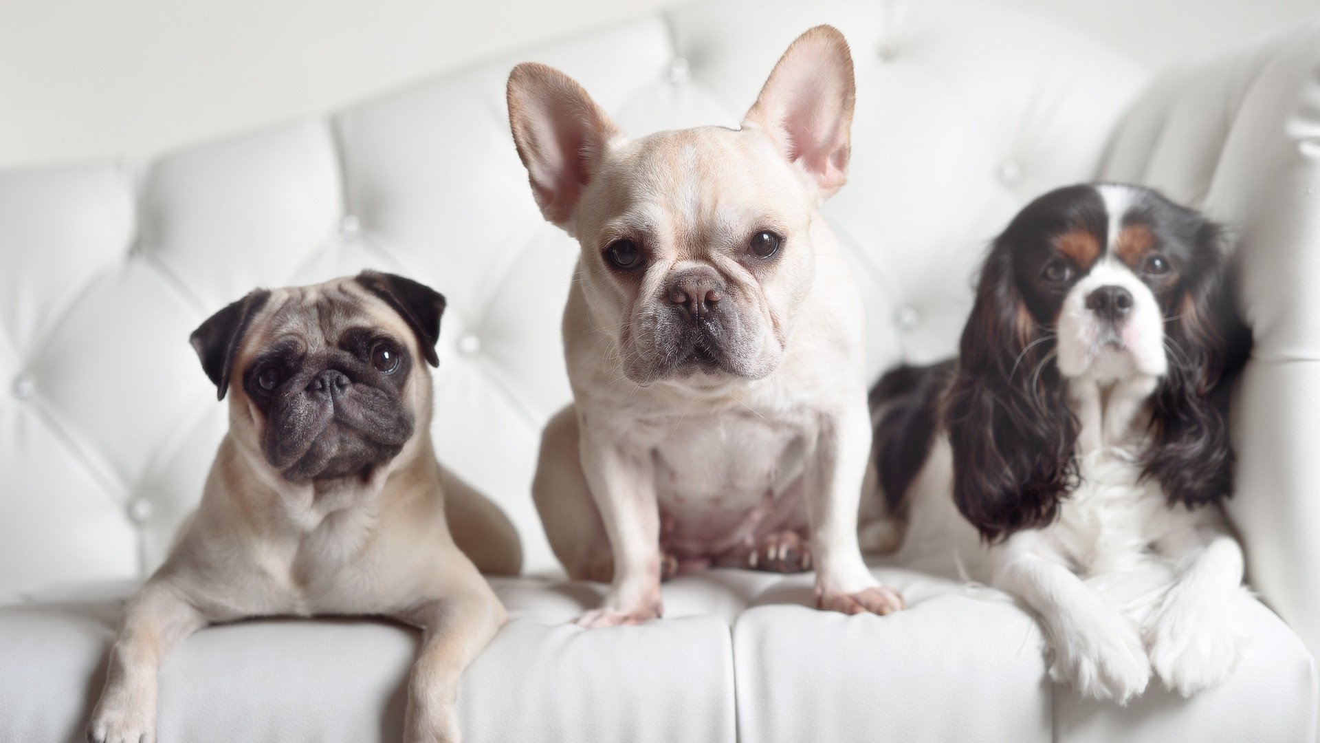 双星闪耀,当日本轻取奥地利与萨拉赫刷新纪录在同一天改写历史