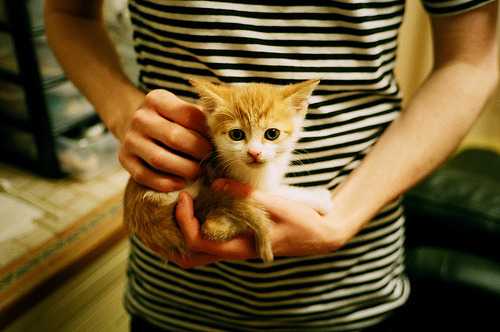 从雅典到华沙的逆袭之路,当希腊神话在波兰的土地上绽放—孔德一箭穿心,不仅刷新了纪录,更改写了游戏规则