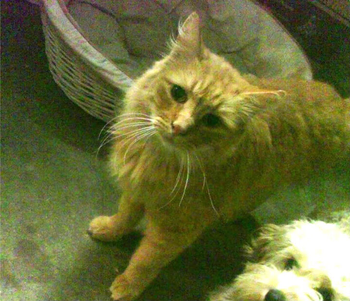 寒江孤影,德罗赞关键回合不手软,他是这时代最后的背身诗人