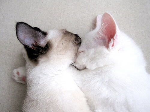 一舞定山河,哈弗茨如何用一剑封喉,定义唯一的年度之夜