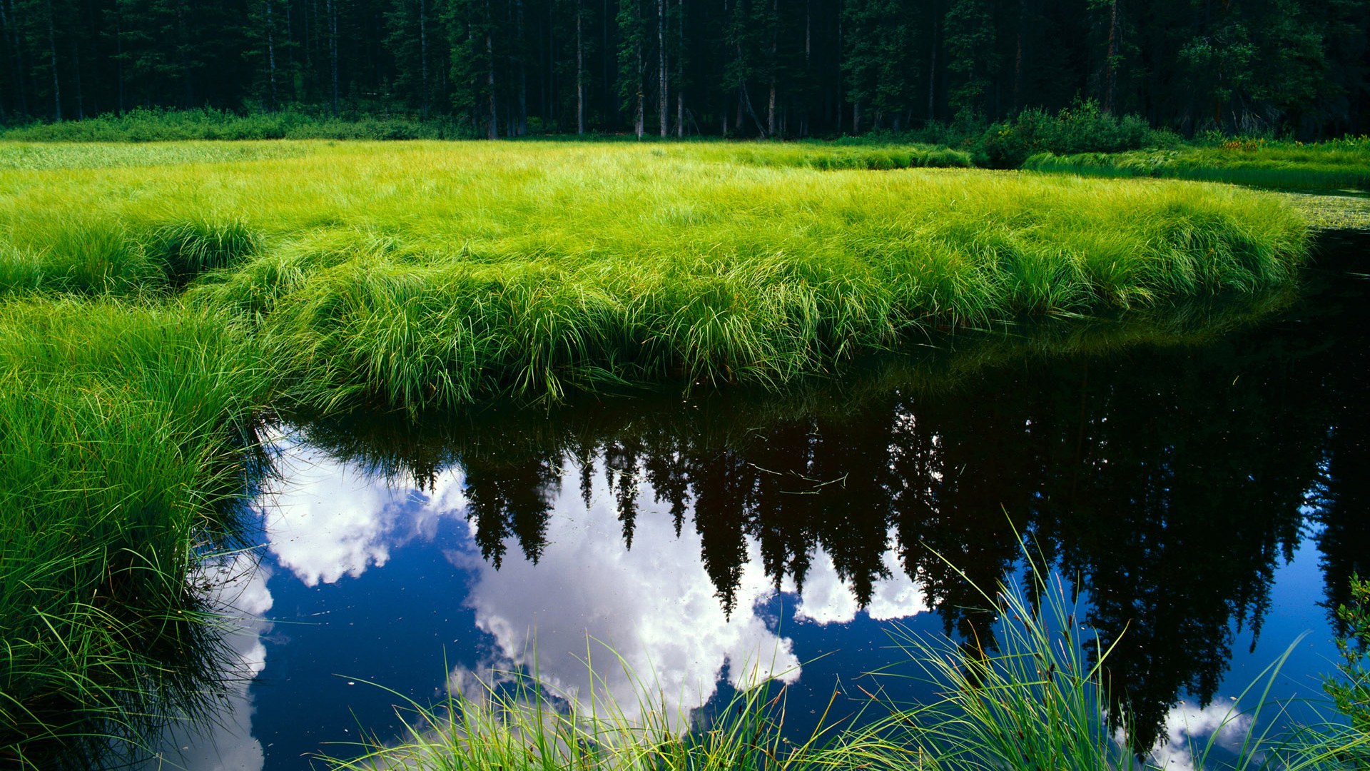 神谕三分雨,那个压力拉满的夜晚,拉文如何用一记错误的投篮完成屠龙童话
