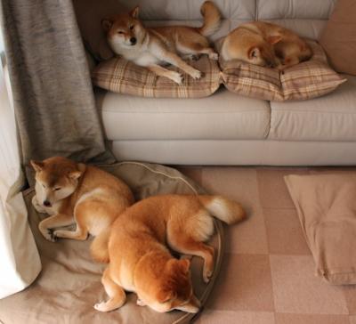 从后防铁闸到进攻引擎,奥运周期关键夜,富安健洋如何一人撕碎对手整条防线