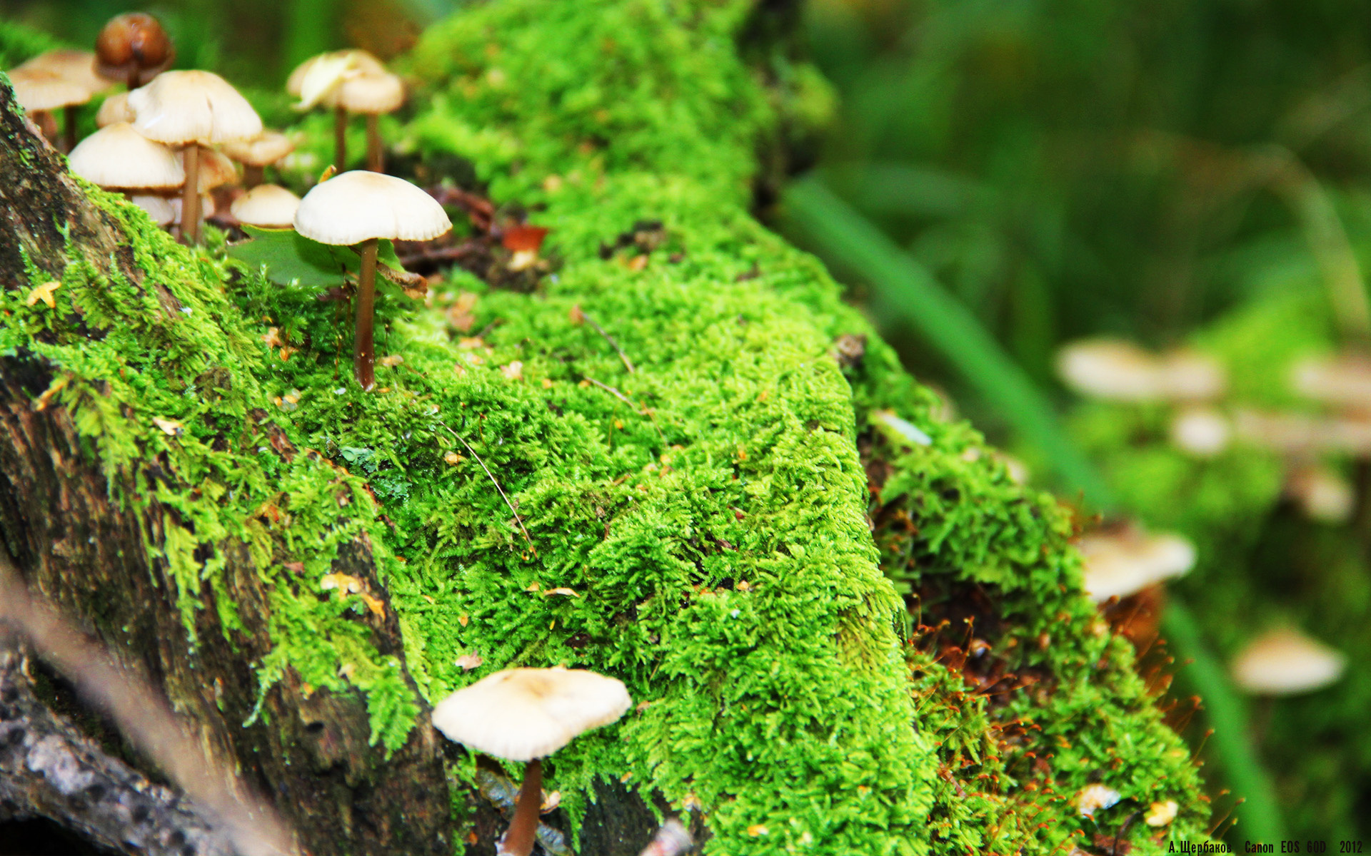 冷门与永恒的对决，当希腊神话照亮西甲国家德比