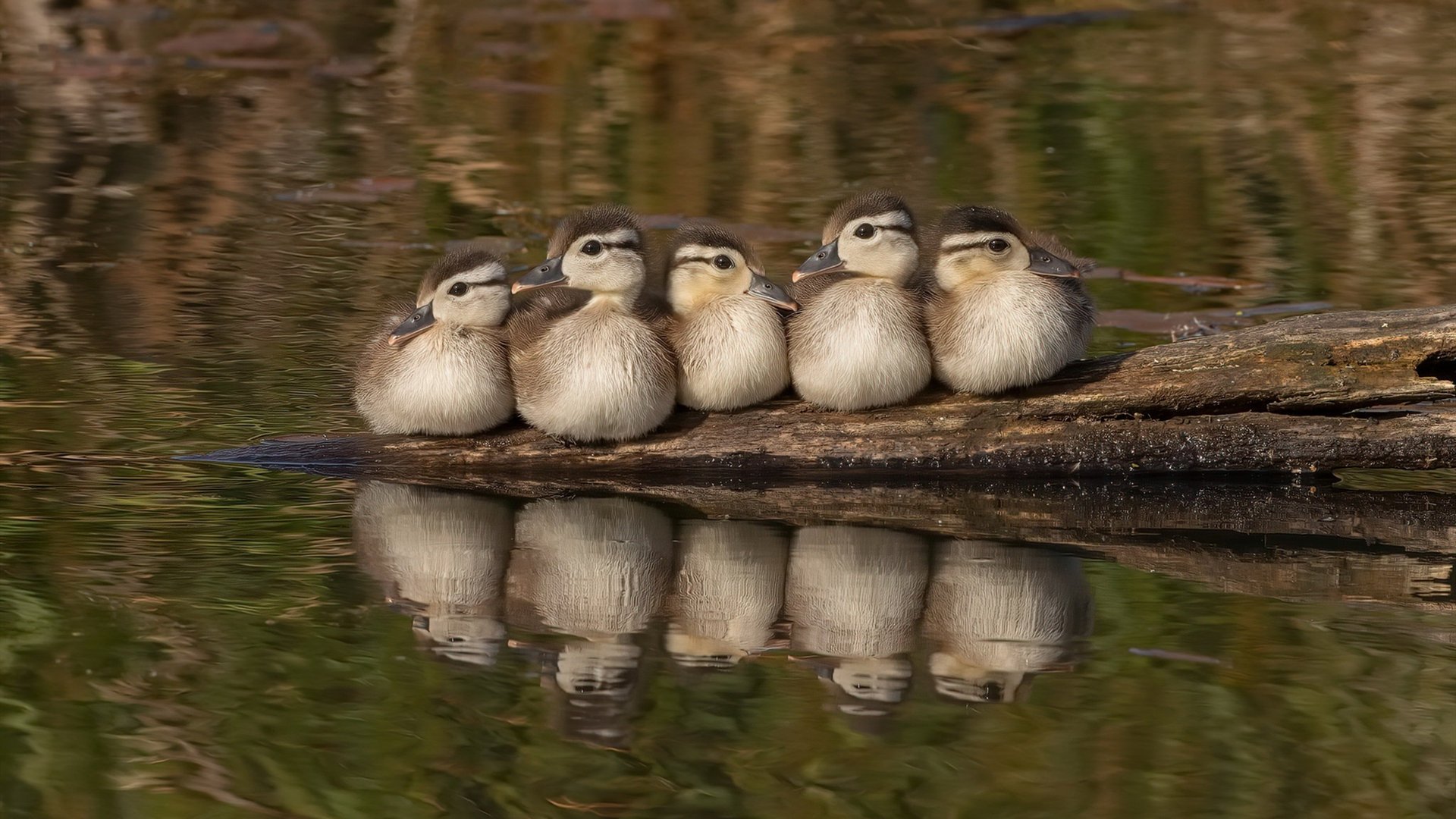超级巨星只有梅西C罗？亚洲足球的崛起给出了另一种答案