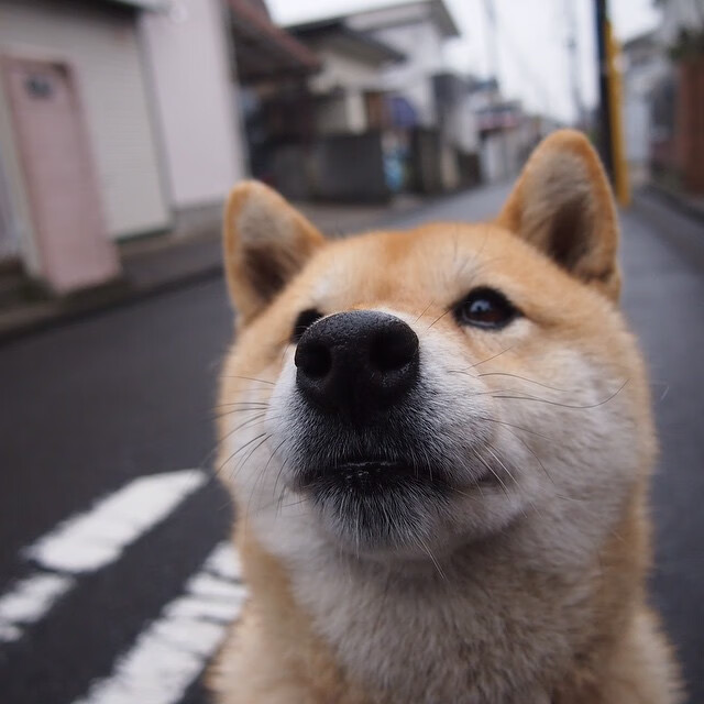 双线焦点从美加墨世界杯到CBA爆冷,山西的夜晚,足球与篮球共写奇迹