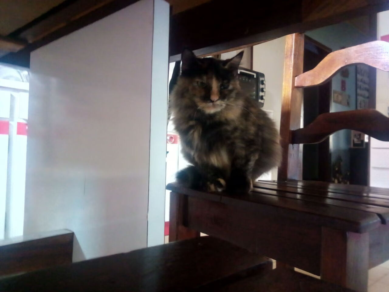 开拓者破壁,当欧冠决赛的绿茵场,遇见战胜奇才的勇者