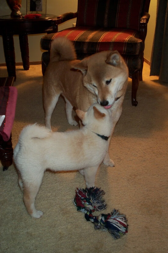 当利物浦神隐时,他的祖国正以他之名决胜