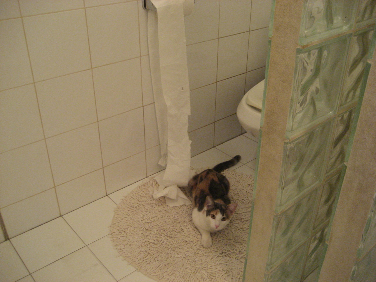 爱游戏官方入口-北境黎明，努涅斯凿开冰封，威尔士于无声处听惊雷