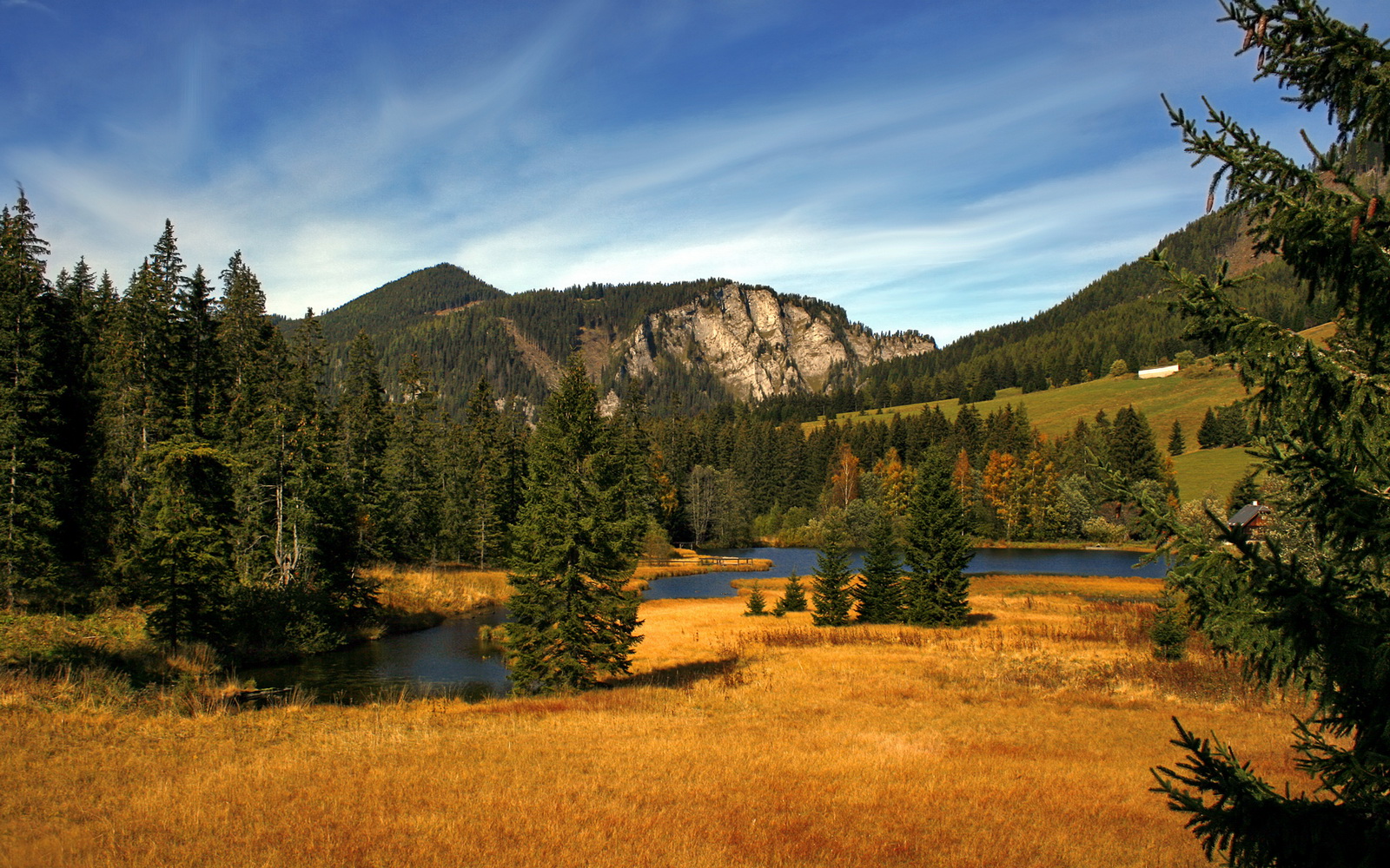 黄蜂惊蛰，踏平广厦之夜，爱德华兹的关键先生宣言
