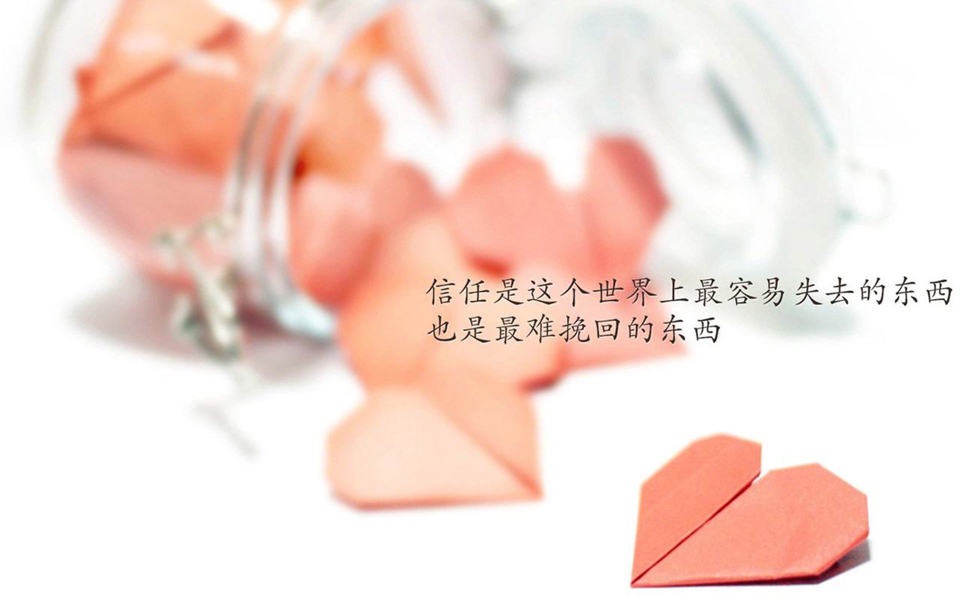 爱游戏-橙衣之殇，2026世界杯黑马之战，波兰铁骑横扫荷兰，加维独舞成最亮底色