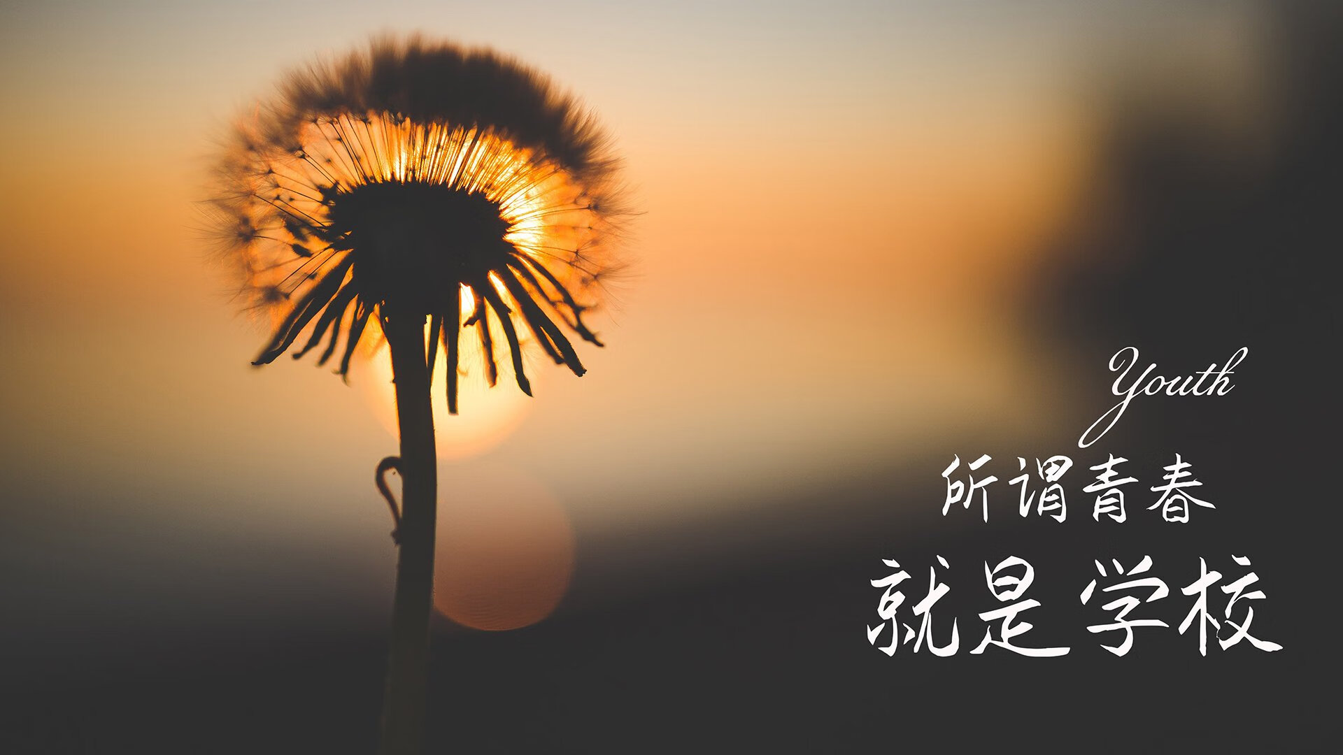 布拉迪斯拉发之夜，穆西亚拉封神，斯洛伐克以钢铁洪流碾碎墨西哥的2026世界杯生死战