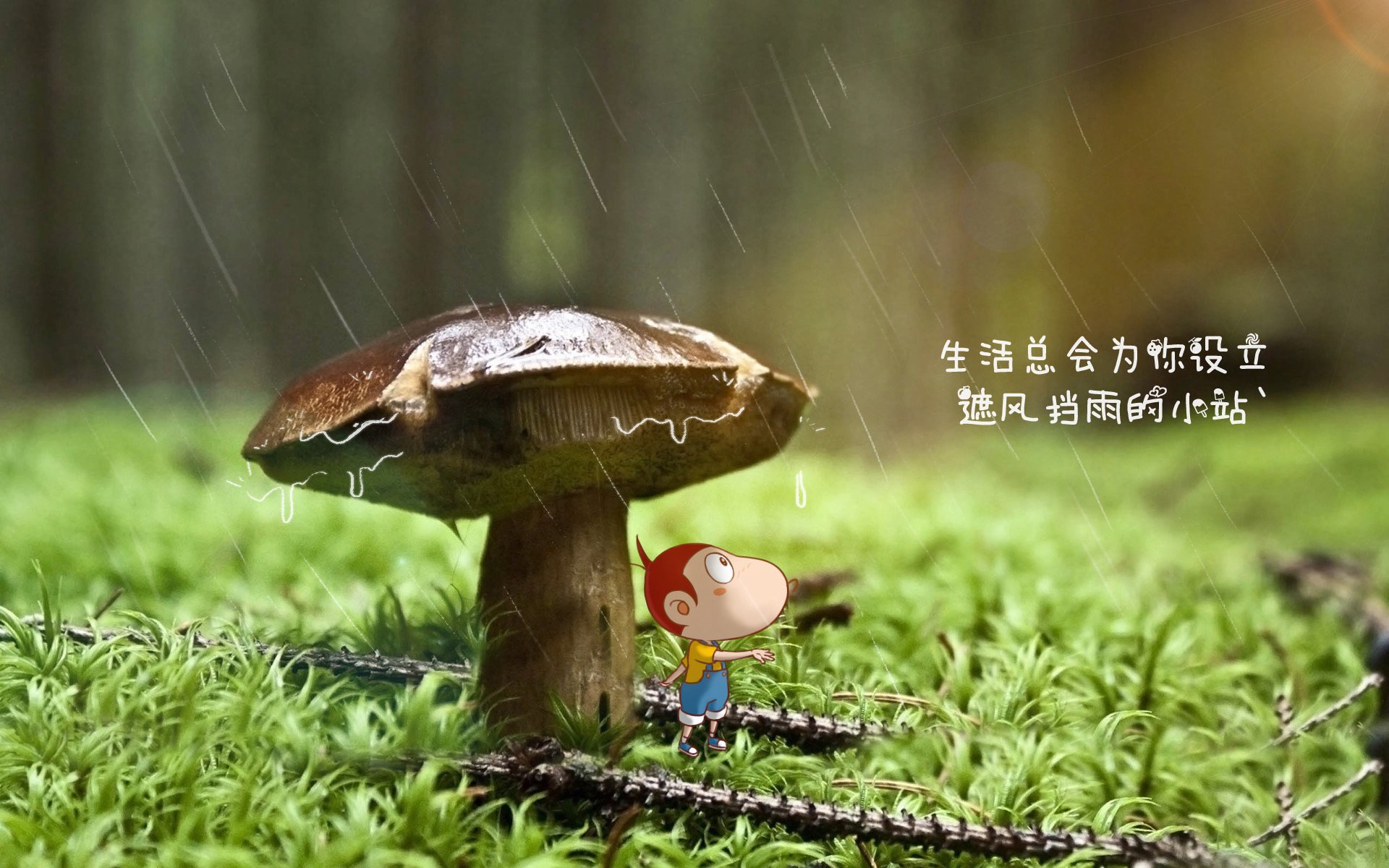(扩展思维后的备选)